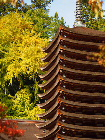 The thirteen-storied pagoda and ginkgo tree of Danzan Shrineの写真素材