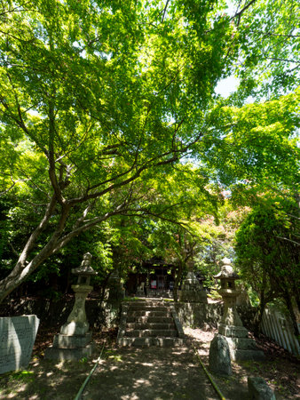 The precincts of Toge Hachiman Shrine covered with fresh greenery