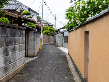 Alleys in densely populated residential areas in Osaka cityの写真素材