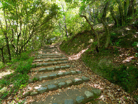 The mountain trail of Mt. May covered with fresh greenery