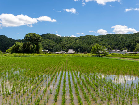 Rural landscape spreading in Nantan City, Kyoto Prefecture
