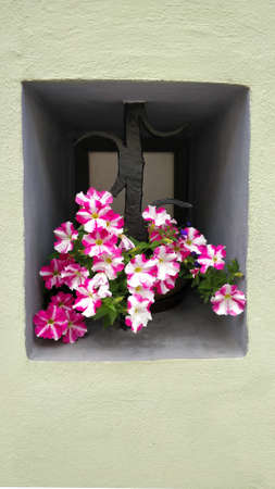 Old medieval house's window with beautiful flower inside.の写真素材