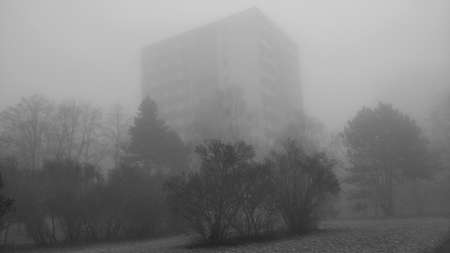 Road in the park during misty morning. The atmosphere looks mysterious but beautiful in the same time. It's Winter so the grass has time on it.の写真素材