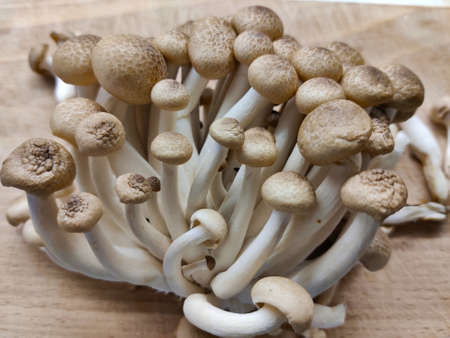 Detail of brown beech mushrooms (shimeji) sitting on a chopping board. It's possible to see the...