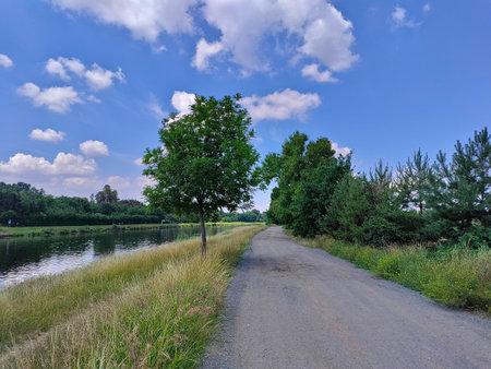 Beautiful landscape with a river, dusty road, and a cloudy sky. The road goes alongside with the river. There is a dominant tree in between. It's a summertime view on Czech countryの写真素材