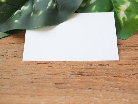 Empty white tag decorated with green leaves space for text on a wooden table with copy space.の写真素材