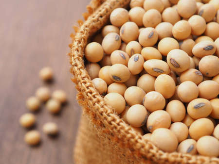 A closeup of soybeans in a sackcloth bag on brown wooden background. Healthy food concept, Plant protein.の写真素材