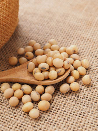 Soybeans in wooden spoon on sackcloth background. Healthy food concept, Plant protein.の写真素材