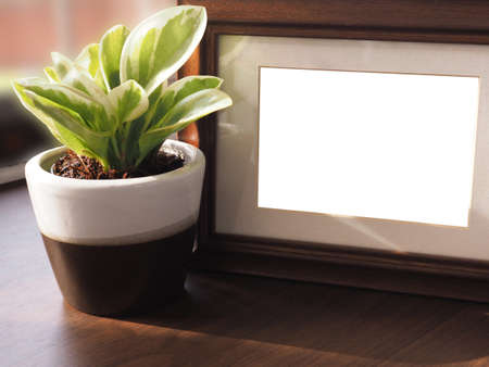 Brown wooden photo frame and small tree plant in a ceramic pot with sunlight on the table.の写真素材