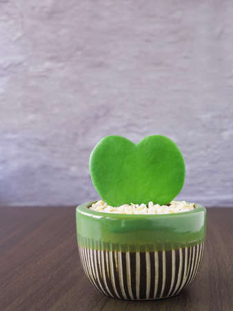 Heart shape small tree in green ceramic pot on table with grey wall backdrop.の写真素材
