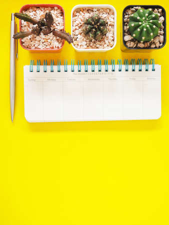 Top view, flat lay of yellow  workplace desktop with monthly notebook,  pen, and cactus space for text. Business and education concept. (vertical image)の写真素材