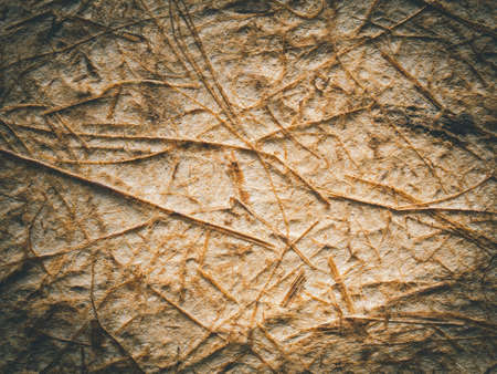 Close up, Vintage brown paper texture background, scratched grunge paper and dark vignette. The concept for image, text, design.の写真素材