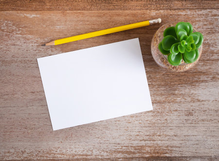 Top view, blank card paper and pencil, little tree on woode background.の写真素材