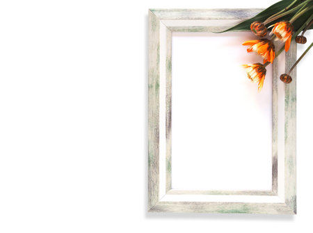 Grey rectangle border photo frame and orange chrysanthemum blooming on white background. Flower frame isolated, flat lay with copy space.の写真素材