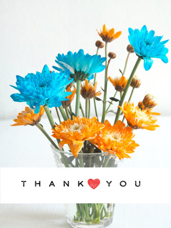 Beautiful orange and blue flower (chrysanthemum) blooming in vase with the word "Thank you" and small red heart on white wooden background.の写真素材