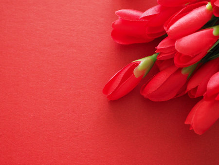 Top view, with copy space of red tulip flowers on a red background. The concept for Valentine's Day, Mother's Day, Women's Day and Birthday.の写真素材