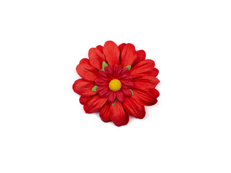 A single, vibrant artificial daisy flower in shades of red, with a bright yellow center isolated on a white background. Concept for various decorative and design greeting cards.の写真素材