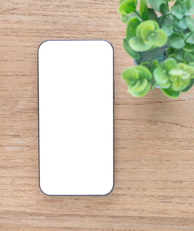 Concept online shopping, blog, logo, product, and social media. Top view, flat lay a modern smartphone with a blank white screen and plant over wooden background. Technology, lifestyle.の写真素材