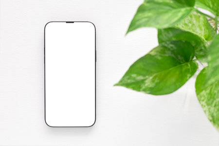 Mockup, template A minimalist flat-lay composition featuring a modern smartphone with a blank white screen over a white background. Concept online shopping, blog, logo, product, and social media.の写真素材