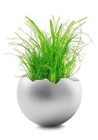 green grass inside a grey ballの写真素材