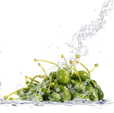 Fresh capers falling in pure waterの写真素材