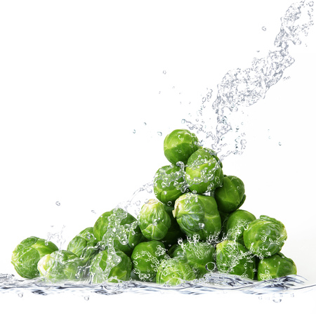 Fresh Brussels sprouts falling in pure waterの写真素材