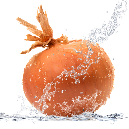 fresh onion falling in pure waterの写真素材