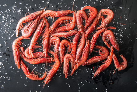 original Sicily red prawns on dark backgroundの写真素材