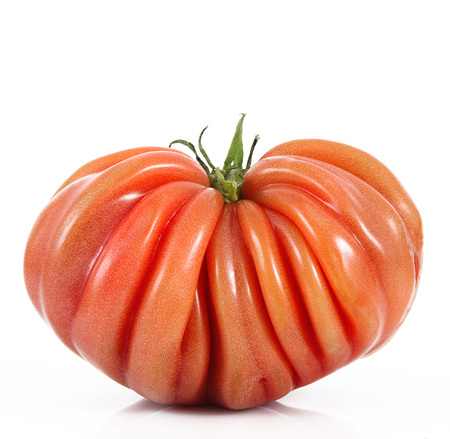 fresh tomato on white backgroundの写真素材