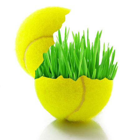 tennis ball with grass on white backgroundの写真素材