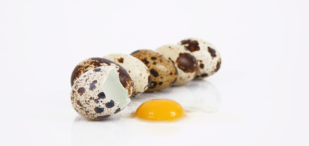 isolated quail eggs on white backgroundの写真素材