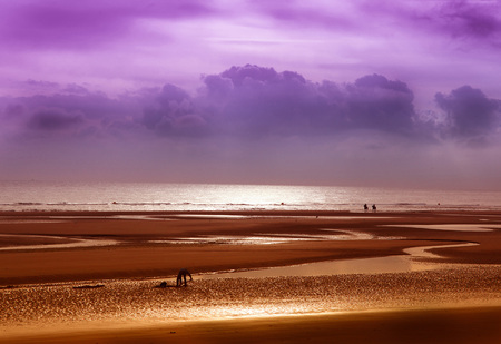 Horseback riding on the beach at sunsetの写真素材
