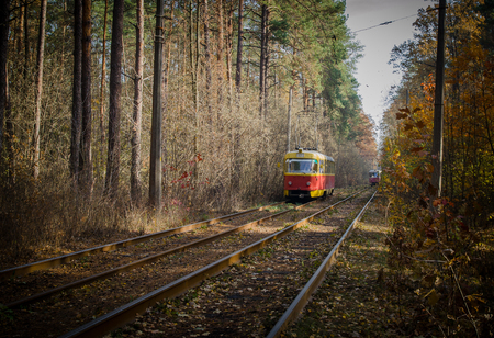 KIEV, UKRAINE - NOVEMBER 01: Red city tram is taking its way through the forest. 01 November 2015 Kiev. Ukraineのeditorial素材