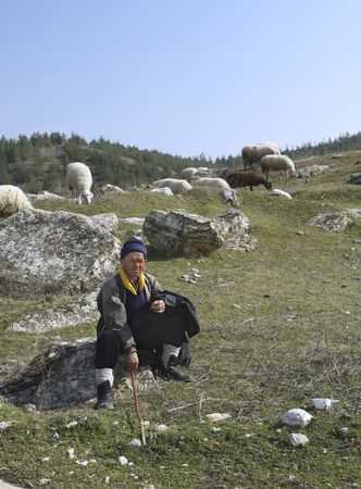 This Normadic sheepherder stops for a rest before moving his sheep down the hill.の写真素材