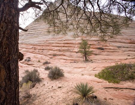 Hoodoos in the Arches National Parkの写真素材