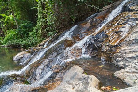 Small creek in the jungle of Thailandの写真素材