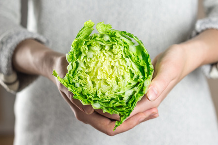 Holding fresh chinese cabbage in hands. Young person holding cut pak choi cabbage in hand in home...