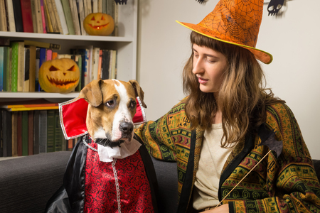 Young female person in witch hat hugs her staffordshire terrier puppy in vampire costume sitting on the sofa in living room with jack'o'lantern carved pumpkins in backgroundの写真素材