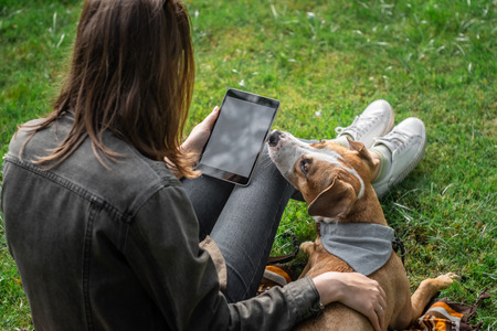 Young pretty woman with tablet computer sits at lawn with her cute puppy. Female person surfing internet outdoors in park with her trained staffordshire terrier dogの写真素材