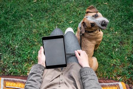 Top view of woman with tablet computer sits at lawn with her cute puppy. Female person surfing internet outdoors in park with her trained staffordshire terrier dogの写真素材