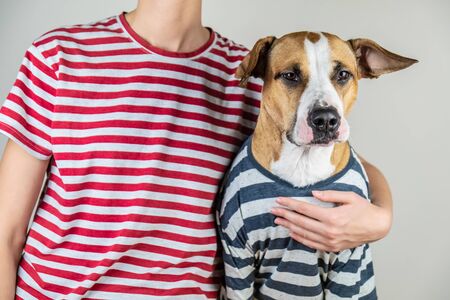 Funny dog and owner in similar clothes. Staffordshire terrier and human dressed in same t-shirts in...