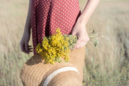 Woman with a bunch of flowers and a hat in the field. Rural scene: female in polka-dot dress with farmer hat and bouquet of flowers in her hand, retro styled faded colorsの写真素材