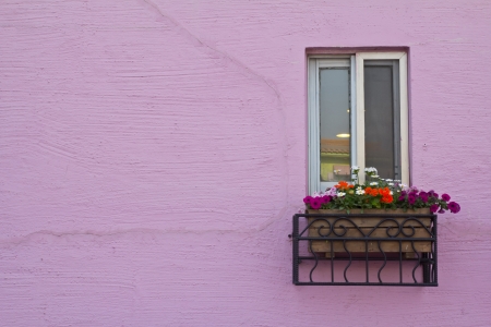  window on the pink wall with space の写真素材