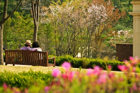 Lovers on the bench の写真素材