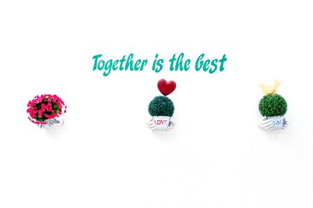 Flower pot with white wall の写真素材