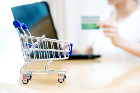 Woman shopping at the desk with miniature trolleyの写真素材