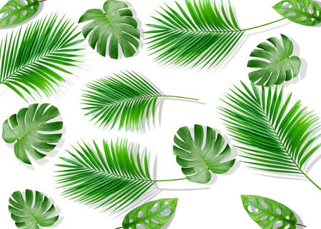 Summer composition. Tropical palm leaves on yellow background. Summer concept.
