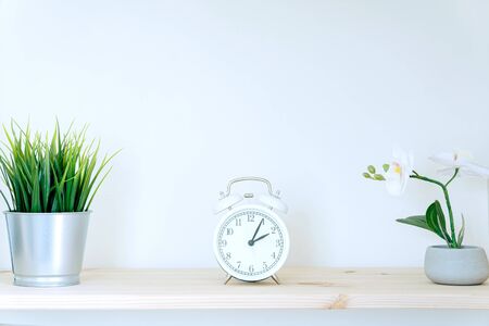 Alarm clock and home plant on the desk on a white wall background. Copy spaceの写真素材