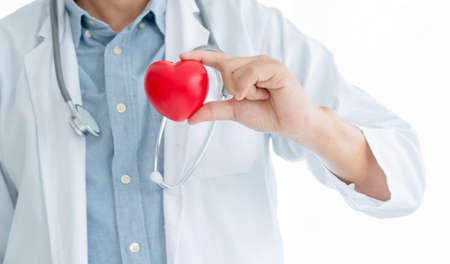male doctor is holding a heart in the hands. Heart is a life!の写真素材