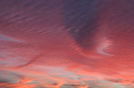 Pink Clouds